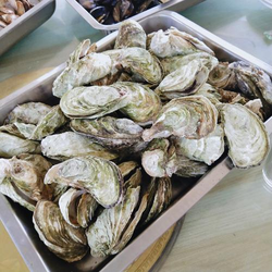 华人8X8X功能展示界面